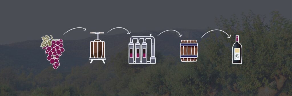 Weinherstellung Rotwein